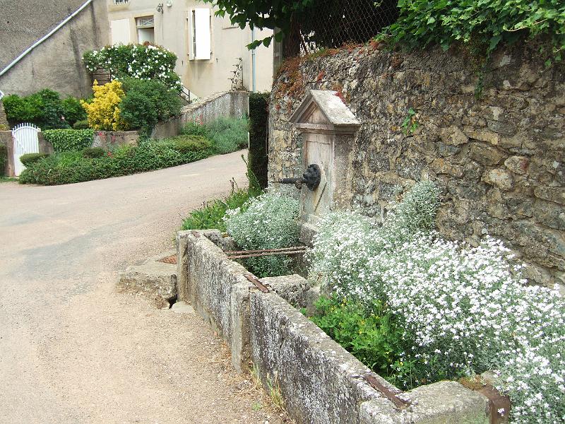 2010-05- (106).JPG